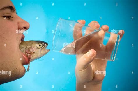 oddcraze|1,299,200+ Odd Crazy Stock Photos, Pictures & Royalty.